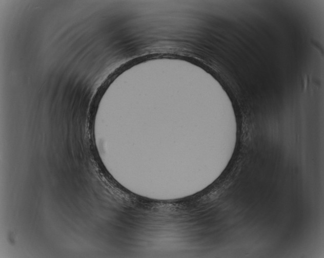 X0000103300880200809261311