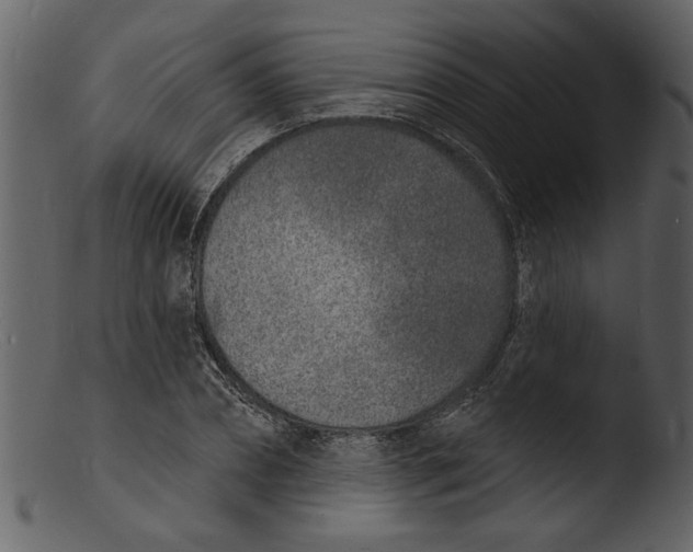 X0000103300882200809261311