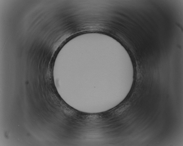 X0000103300883200809261311