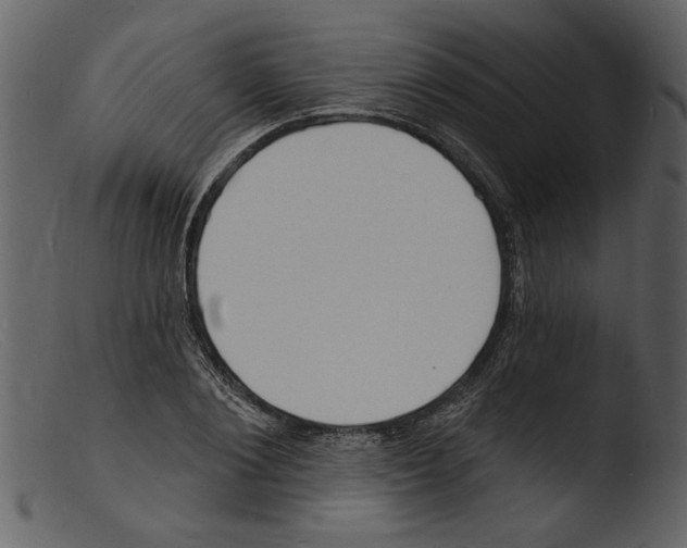 X0000103300884200809261311