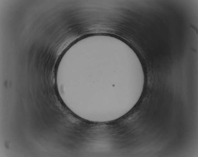 X0000103300885200809261311