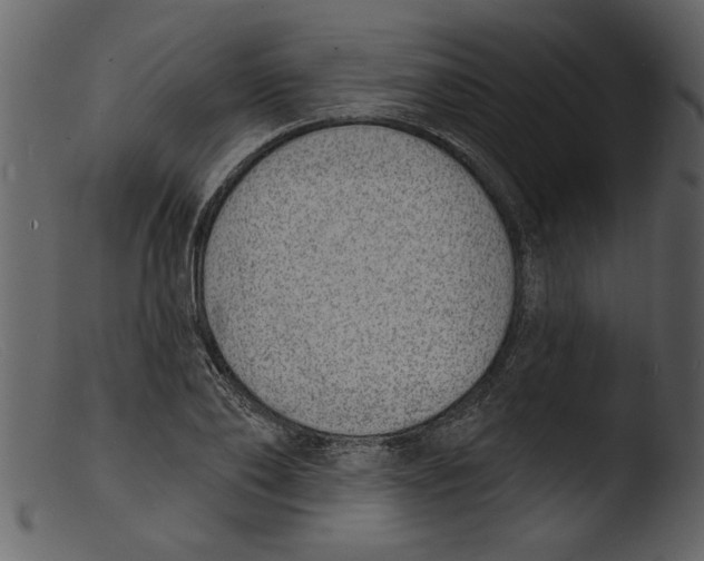 X0000103300886200809261311