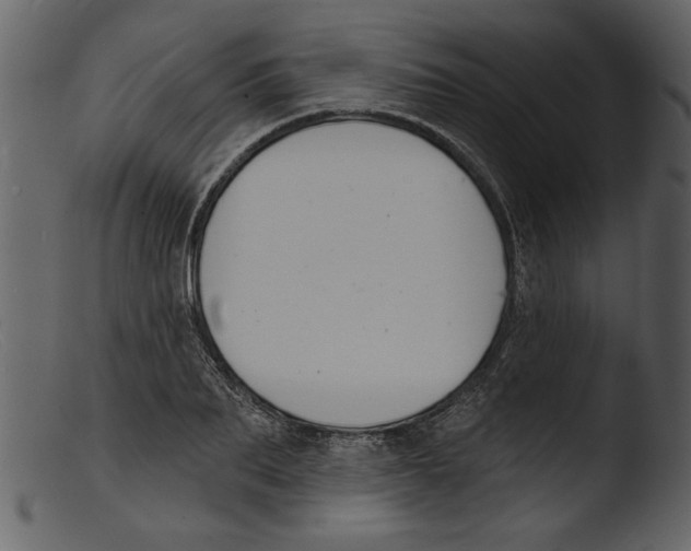 X0000103300887200809261311