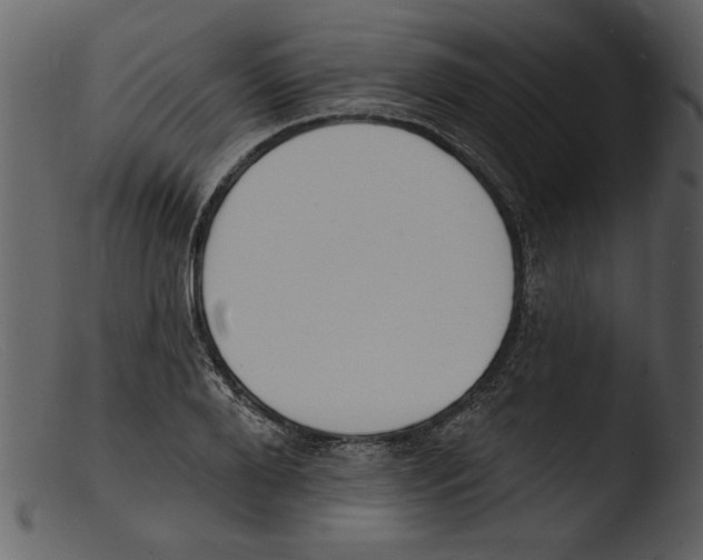 X0000103300888200809261311