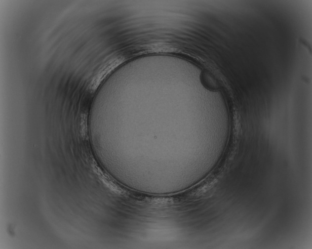 X0000103300889200809261311