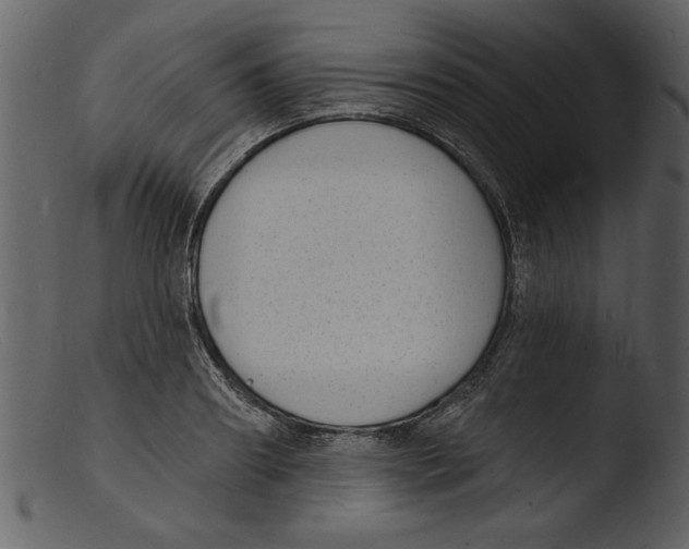 X0000103300890200809261311