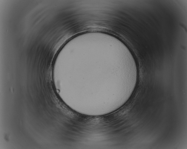 X0000103300891200809261311