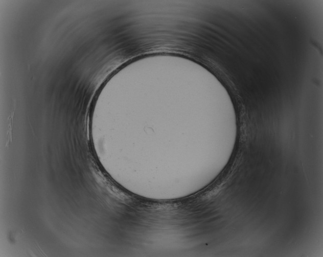 X0000103300892200809261311