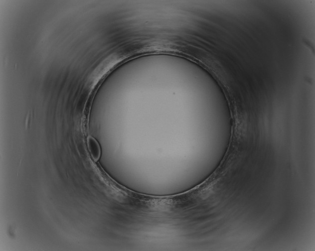 X0000103300893200809261311