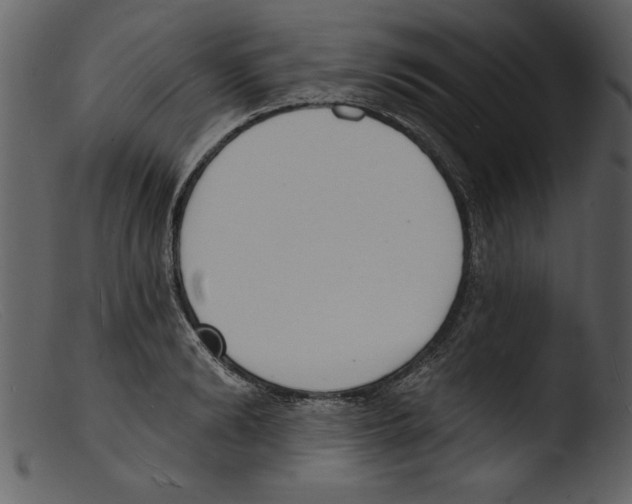 X0000103300894200809261311