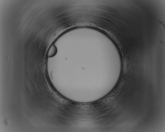X0000103300895200809261311