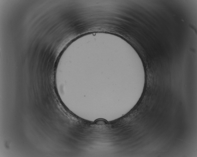 X0000103300896200809261311