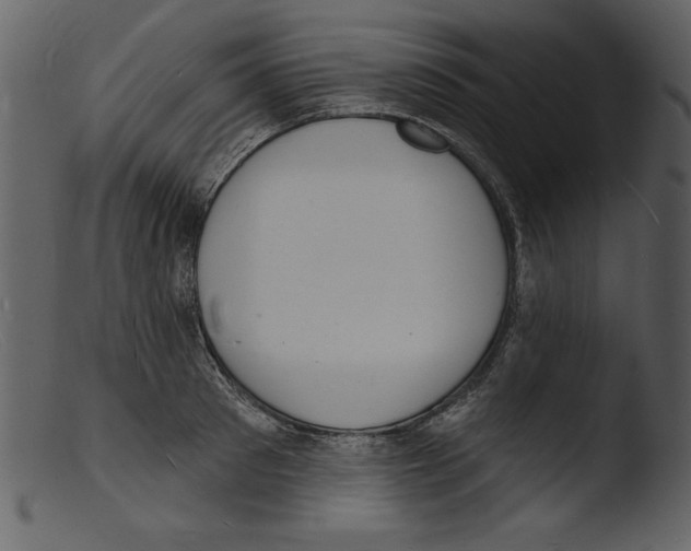 X0000103300897200809261311