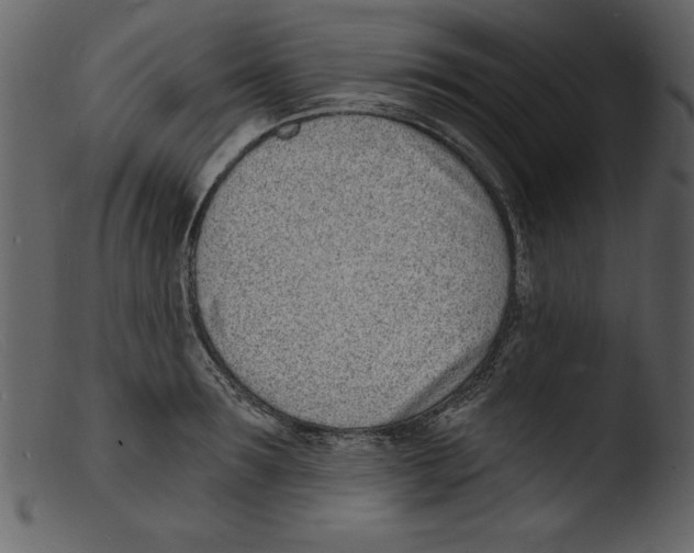 X0000103300899200809261311
