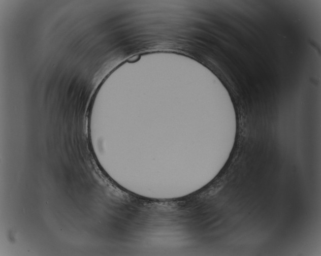 X0000103300900200809261311