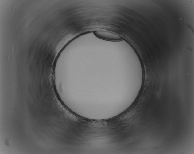X0000103300901200809261311
