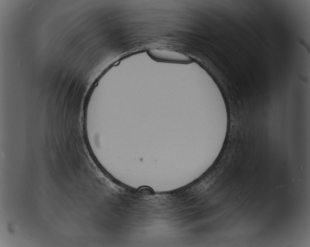 X0000103300902200809261311
