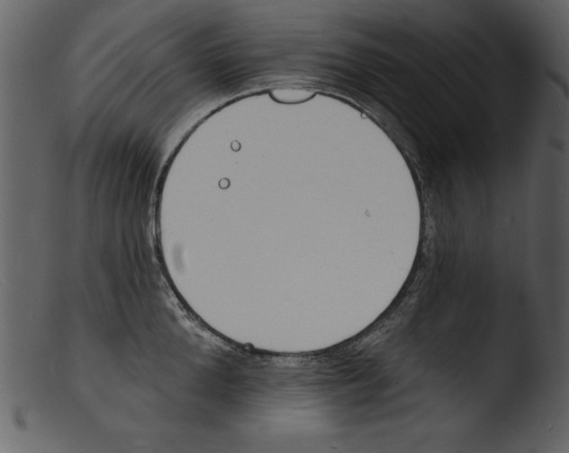 X0000103300904200809261310