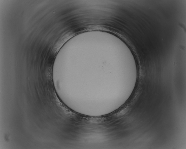 X0000103300905200809261310