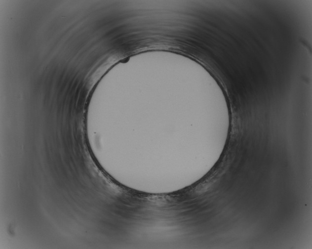 X0000103300906200809261310