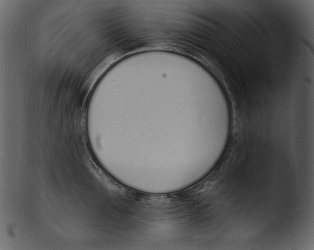 X0000103300907200809261310