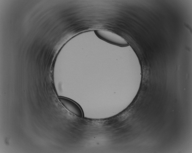 X0000103300908200809261310