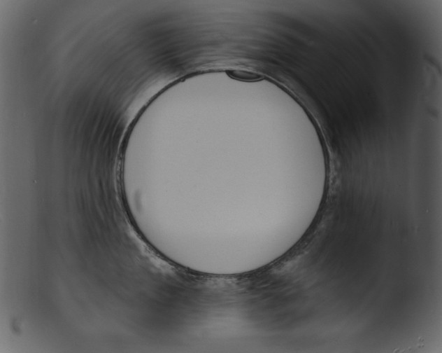 X0000103300909200809261310