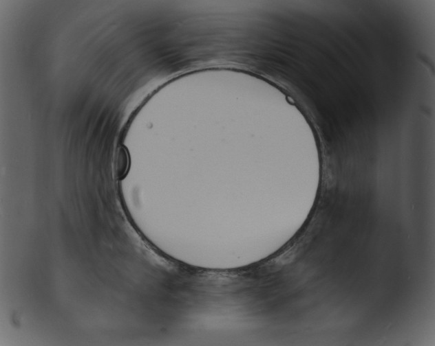 X0000103300910200809261310