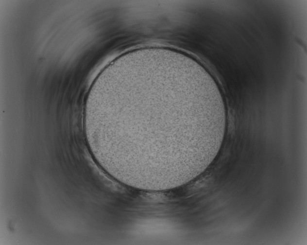 X0000103300911200809261310