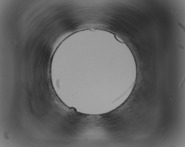 X0000103300912200809261310