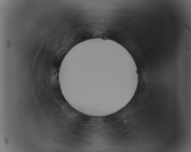 X0000103300914200809261310