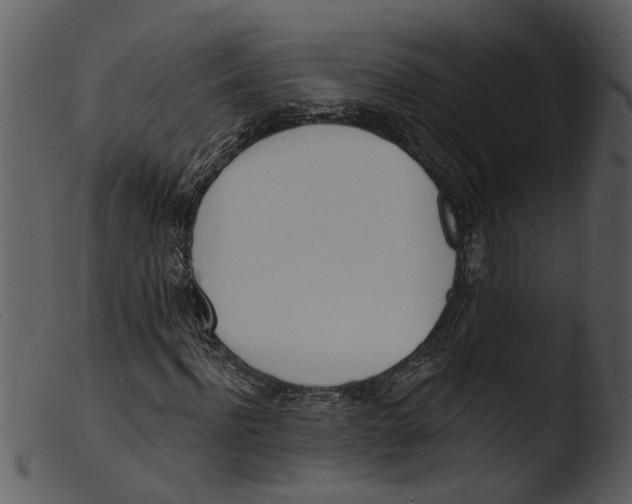X0000103300916200809261310