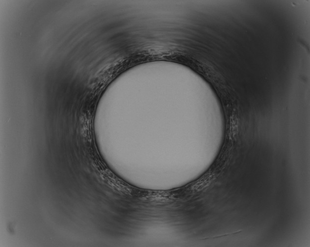 X0000103300917200809261310