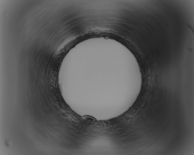 X0000103300919200809261310