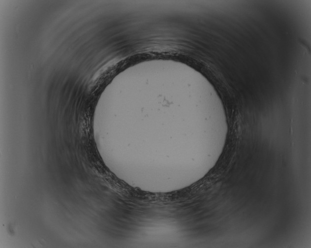 X0000103300920200809261310