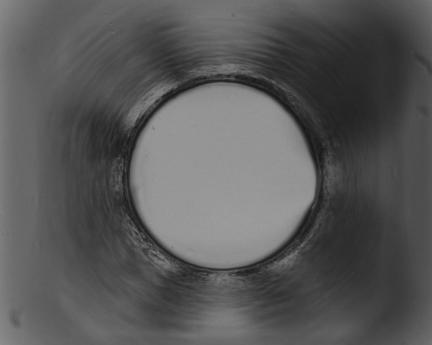 X0000103300921200809261310