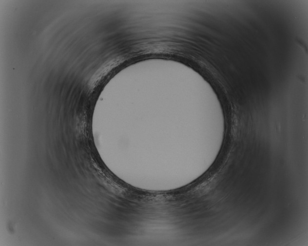 X0000103300922200809261310