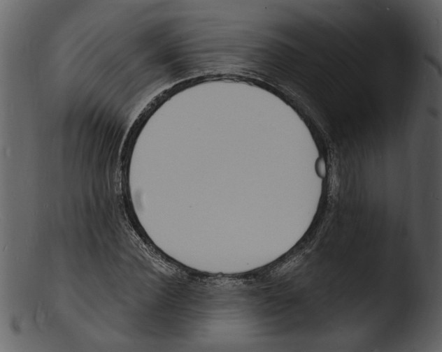 X0000103300924200809261310