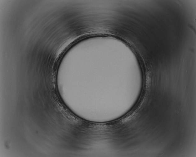 X0000103300925200809261310