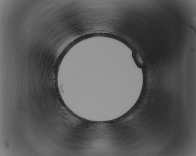 X0000103300926200809261310