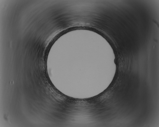 X0000103300927200809261310