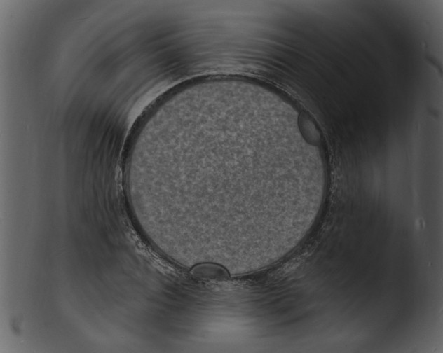 X0000103300928200809261310