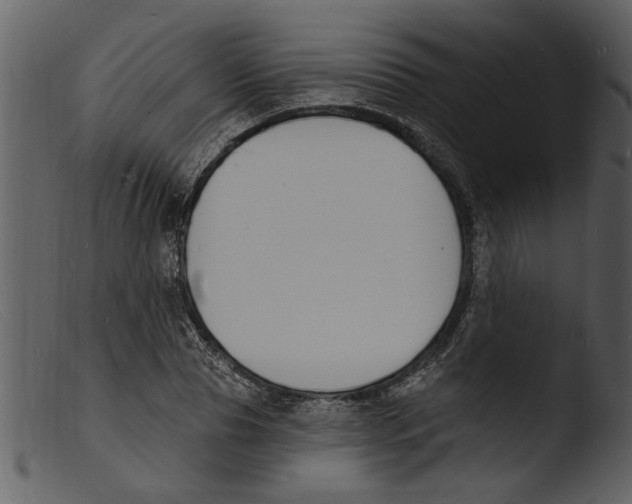 X0000103300929200809261310