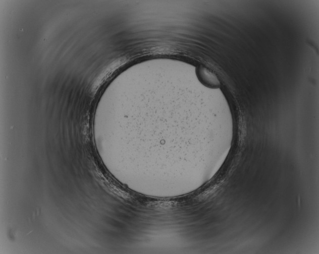 X0000103300930200809261310