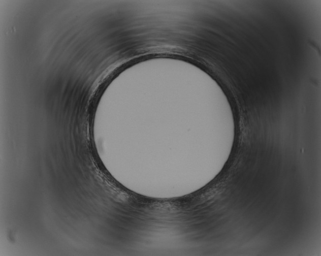 X0000103300931200809261310