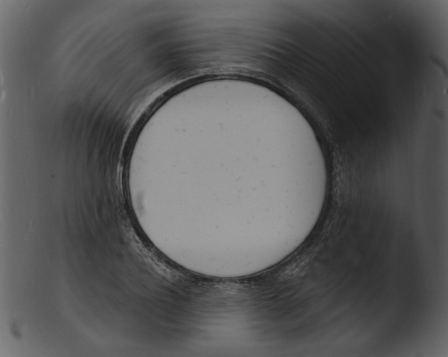 X0000103300932200809261310