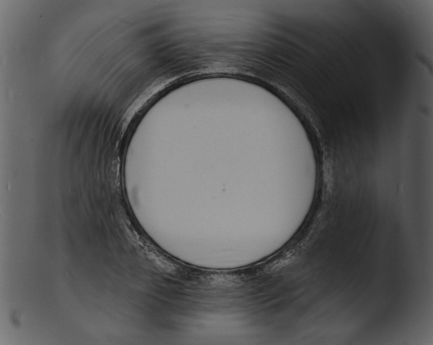 X0000103300933200809261310