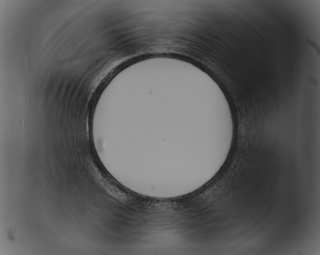 X0000103300934200809261310