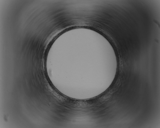 X0000103300935200809261310