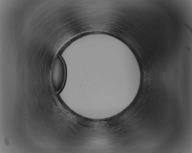 X0000103300936200809261310